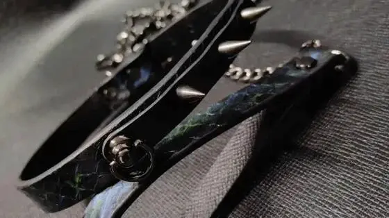 当我逐渐意识到自己对S属性的偏好时 一