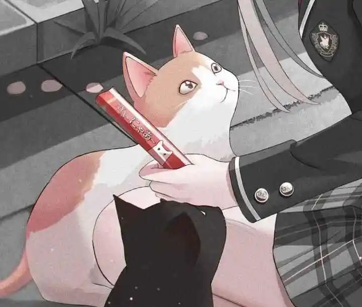 “S倾向”的秘密:探寻其背后的产生与影响机制是什么? 一