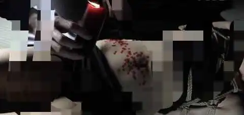 “支配者”DOM的权力与责任,掀起BDSM的心理深渊! 一