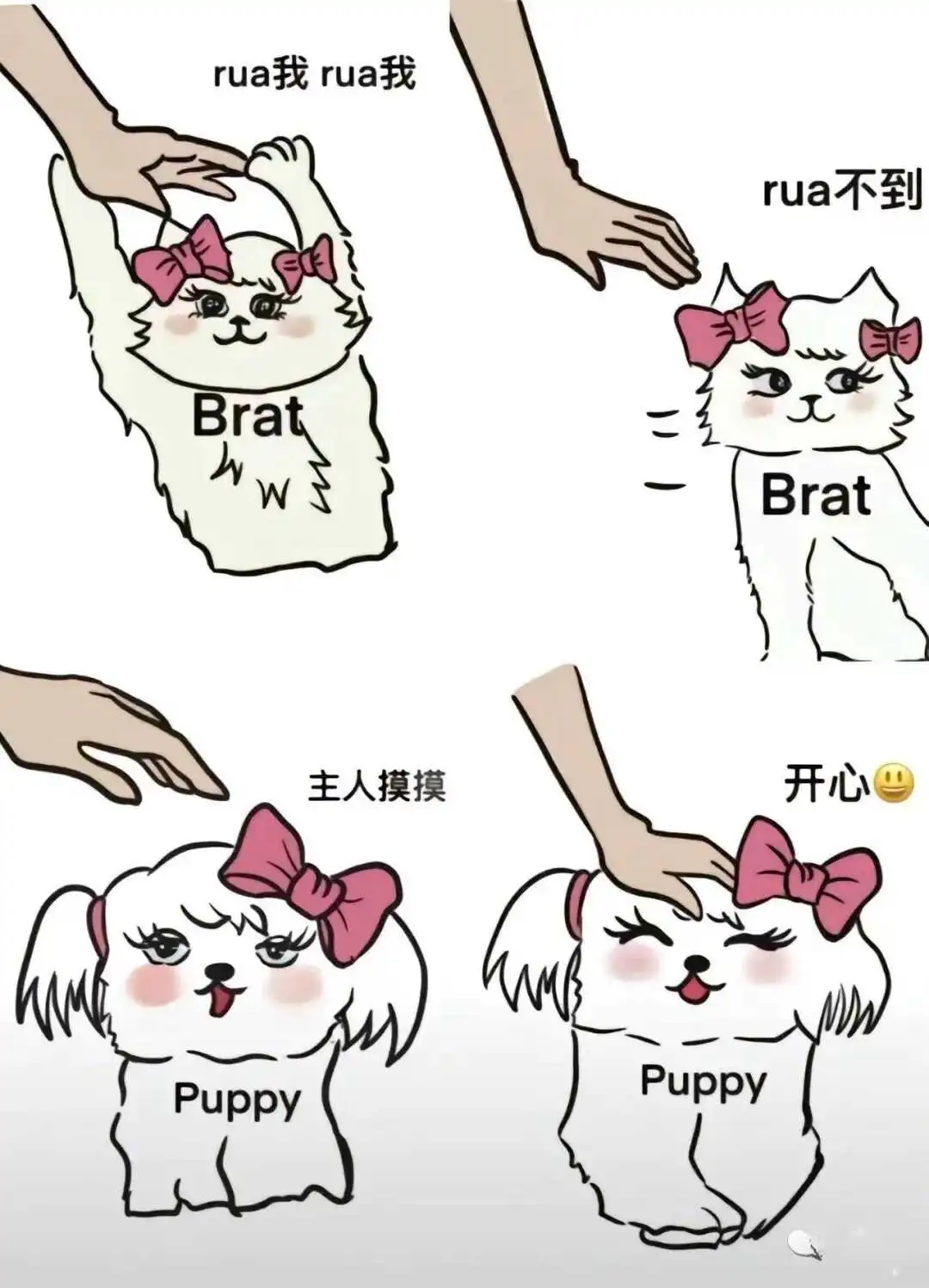 sp小圈是什么?探索它背后的意义与魅力 一