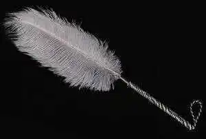 BDSM入圈前你需要了解的那些事儿是什么? 一