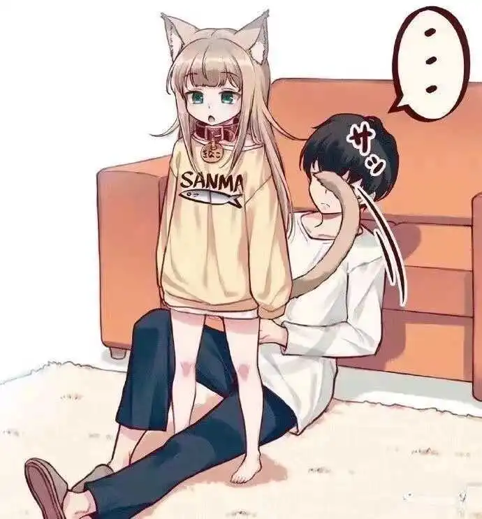 你不知道的K8:探索猫玩背后的世界是什么样的? 一