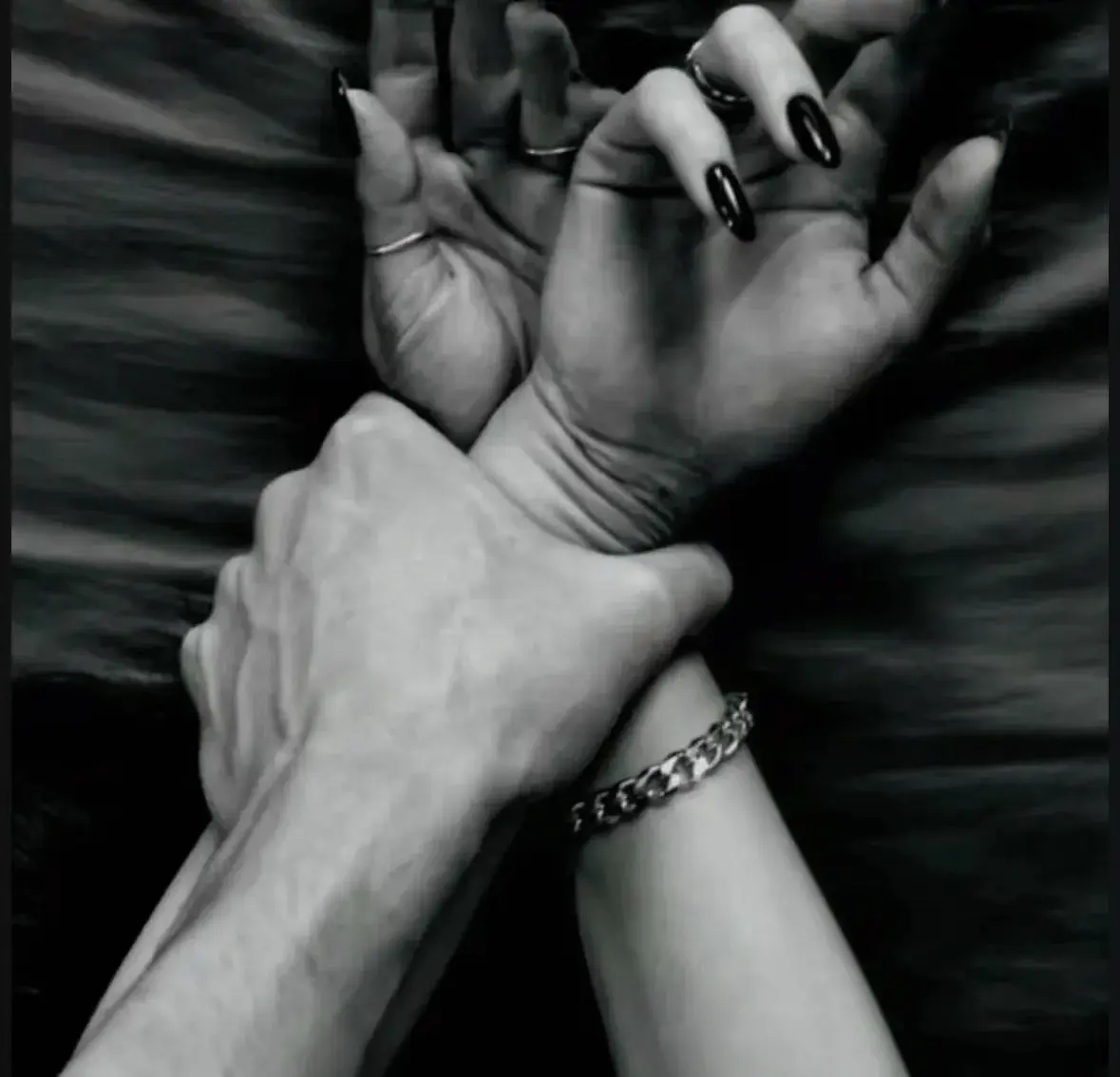 K9犬系是什么?如何在字母圈中找到属于你的角色与乐趣 一