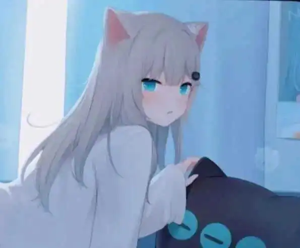 圈子里的“猫系情怀”-K8猫系背后的故事与探索 一