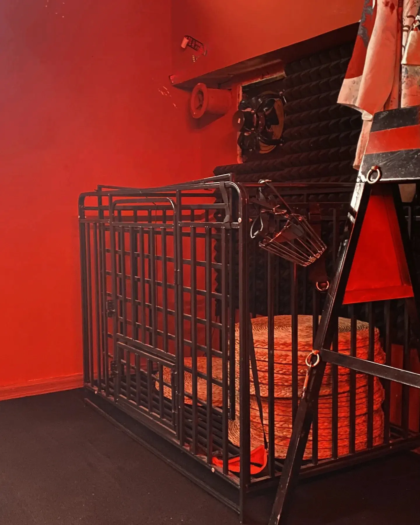 K9是什么?探索犬玩文化及其在BDSM圈子的独特魅力 一