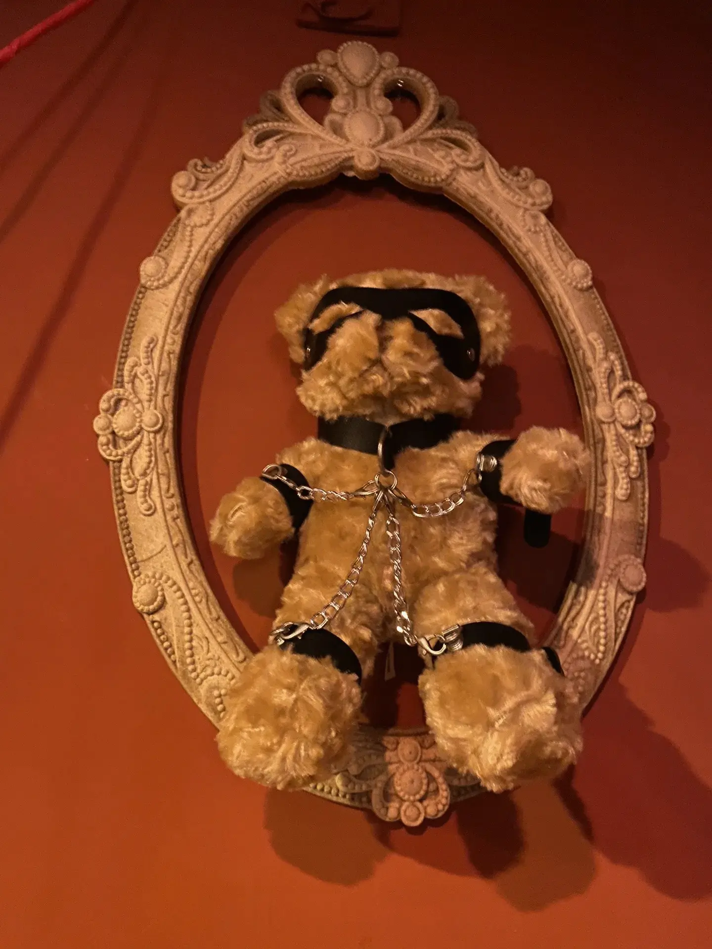 我和我的BDSM生活:探索SM亚文化的秘密与魅力 一