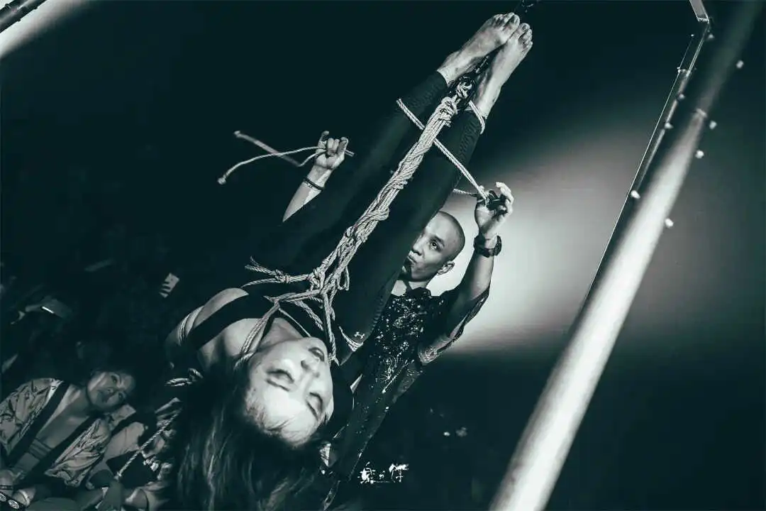 “支配者”DOM的真实面貌是什么? 一