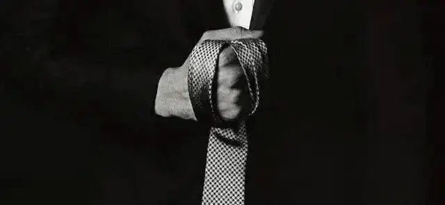 我与k9犬系伙伴的奇妙冒险 一