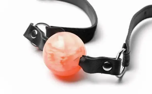 我的K9犬系男友：玩转角色扮演的另类魅力 一