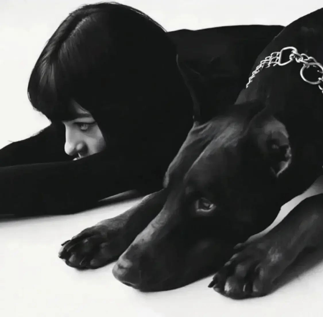 如果你的“猫系”k8不想乖乖服从怎么办？ 一