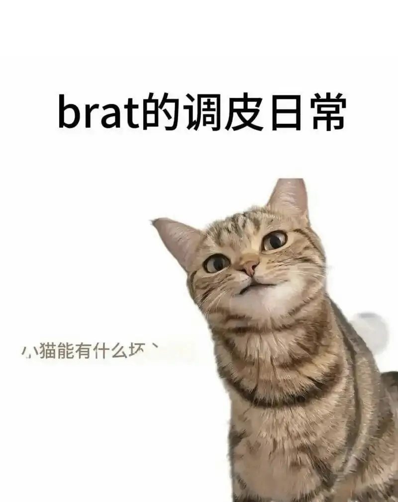 BDSM入圈指南:安全与沟通 一