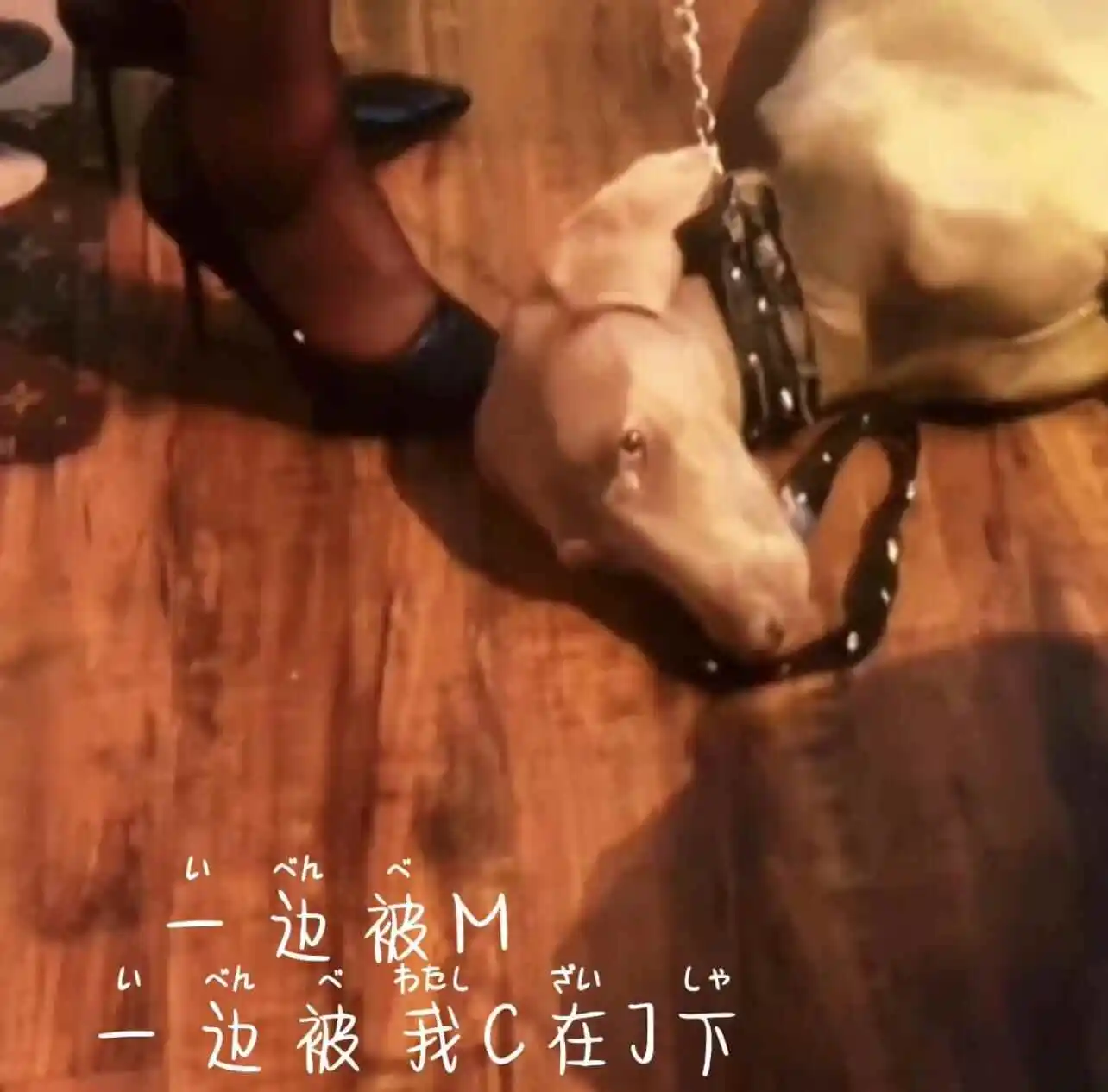我的sp小圈 一