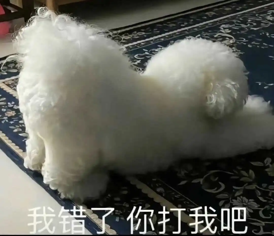 “斯慕圈”的“s属性”是什么? 一