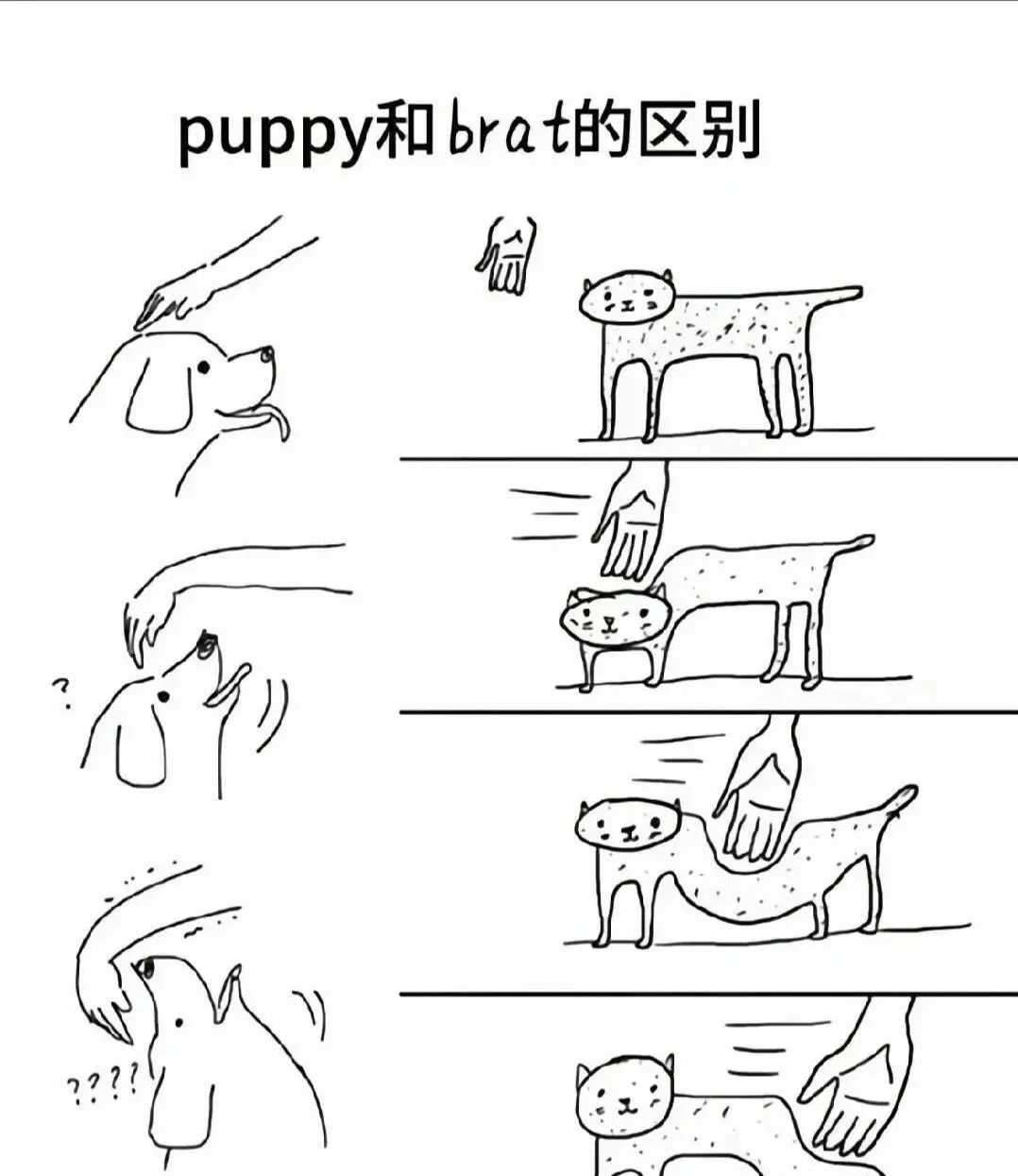 dirty talk是什么?字母圈新手必看的安全指南 一
