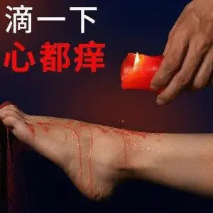 “字母圈”入圈指南 一