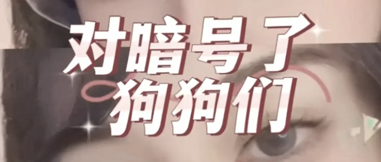 K9犬系：圈子里的萌系陪伴与角色扮演！ 一