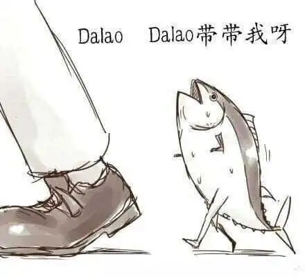 “K9犬系”是什么? 一