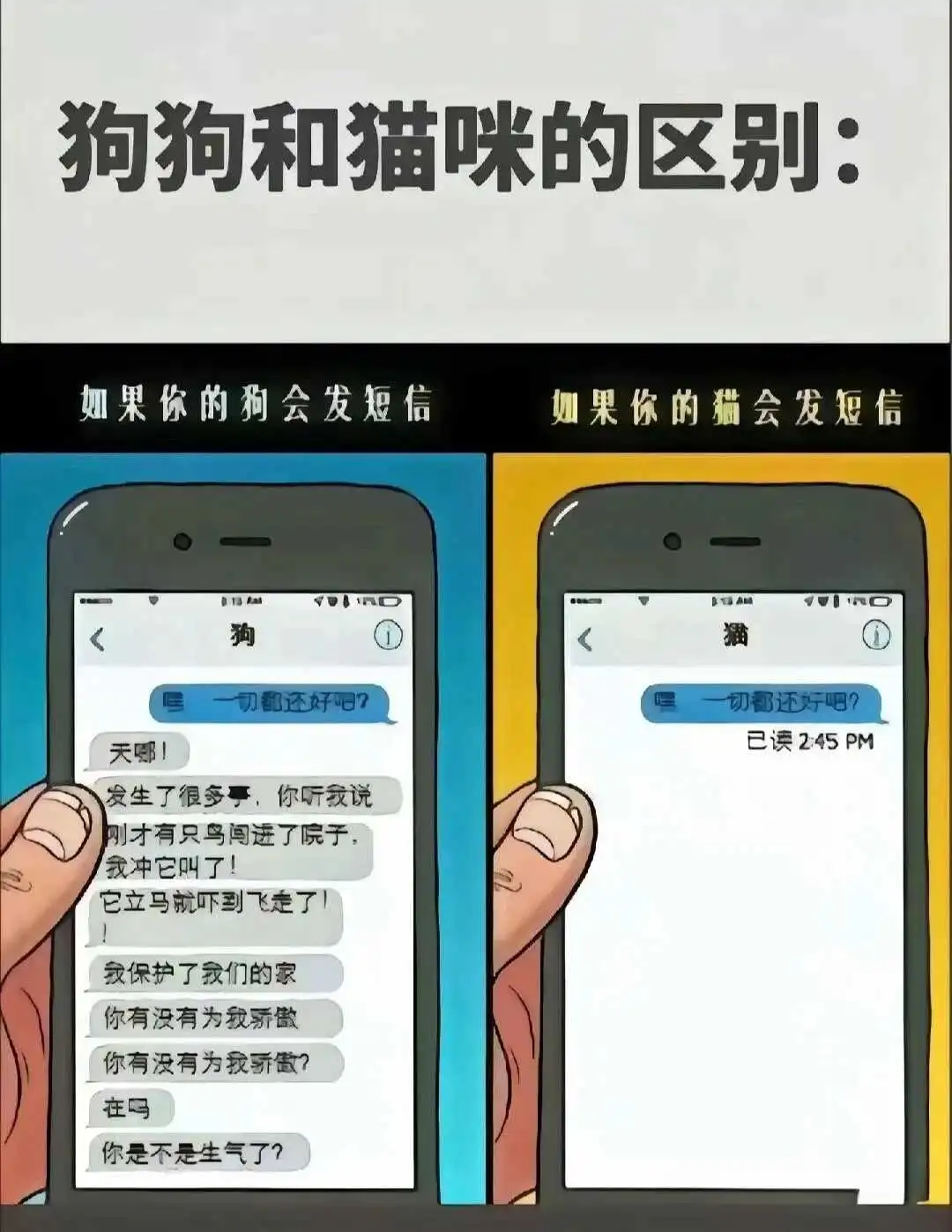 Brat属性是什么意思-什么叫顽皮服从 一